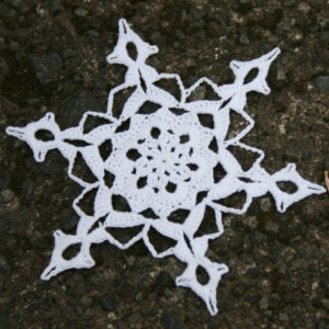 Snjókorn snjógríparans #1