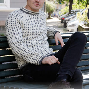 Reykjavik - herrapeysa